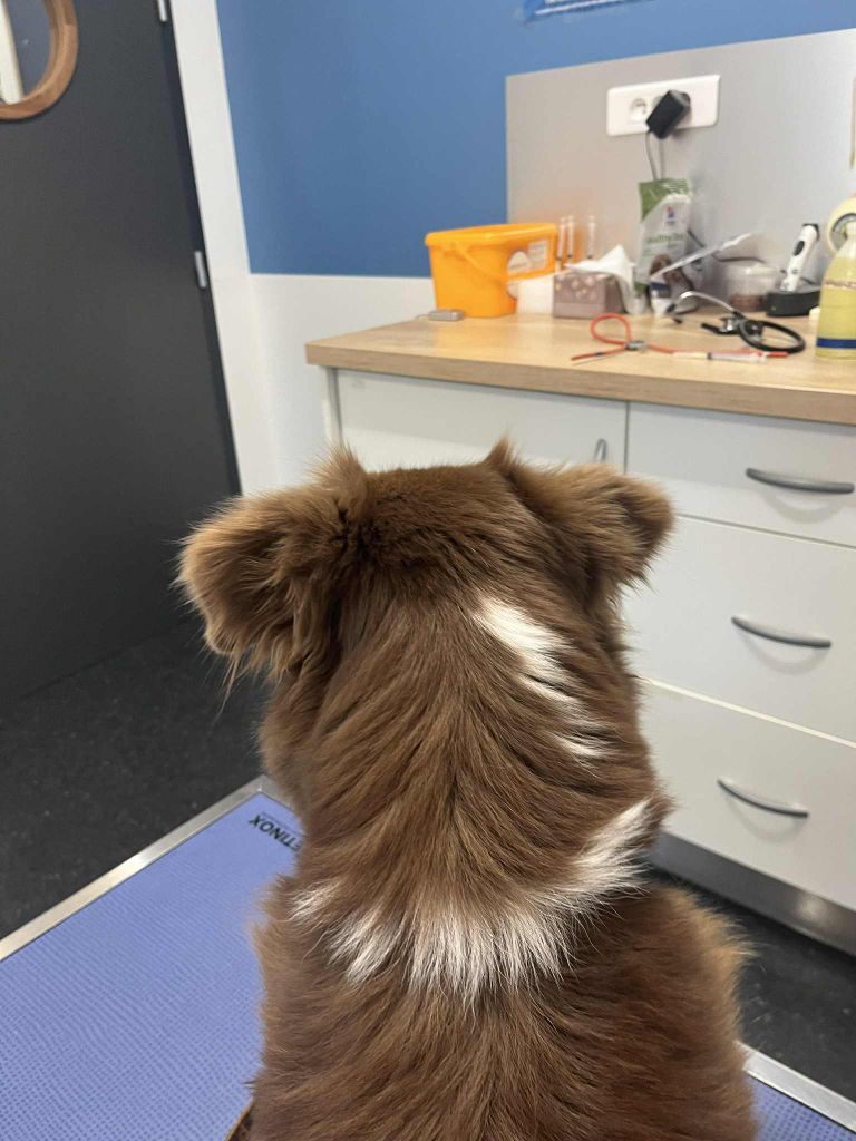 Portée 2026  - début d'année 