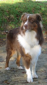 portée 2007