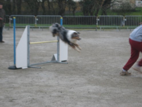 Agility
